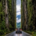 devasa-kayalari-yillarca-elle-oyup-icinden-yol-gecirdiler-yEXfqpbO
