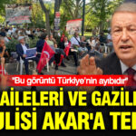 Haber gorseli