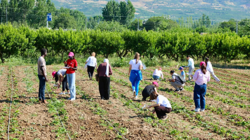 Toguden dunya genclerine anadolu kapisi 15 ulkeden ogrenci tokatta bulustu DzcdDcdA